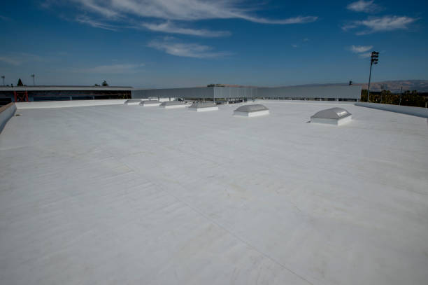 Best Storm Damage Roof Repair  in Peotone, IL