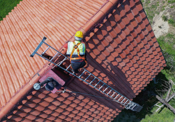 Best Solar Panel Roofing Installation  in Peotone, IL